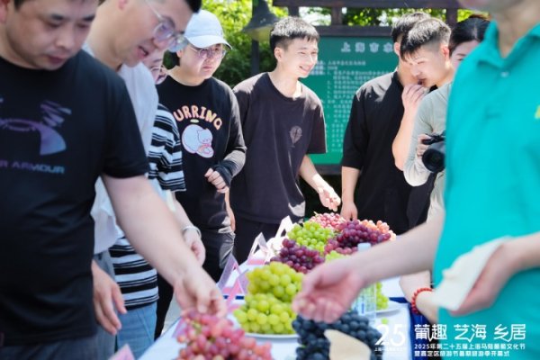 股升网 胭脂红、蜜宝儿等自研新品亮相！2025马陆葡萄文化节今开幕