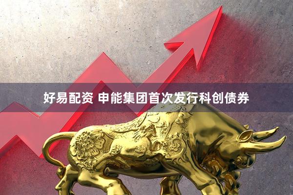 好易配资 申能集团首次发行科创债券